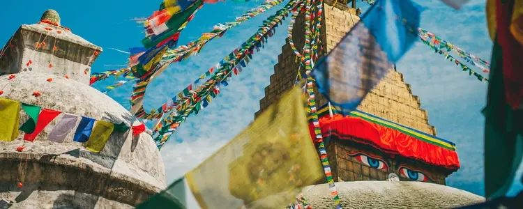 Timeless India: Tigers & Traditions with Kathmandu