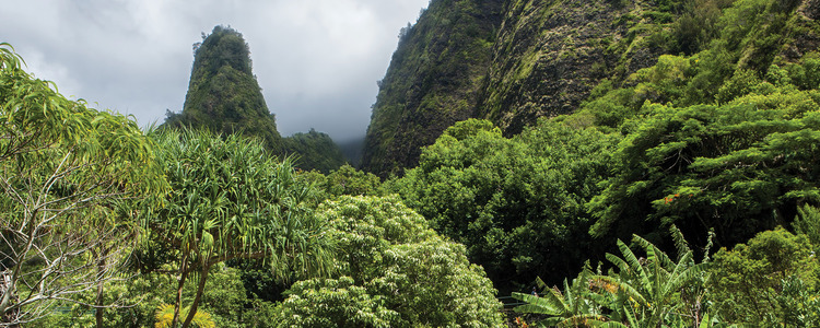 Best of the Hawaiian Islands