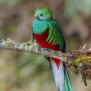 Costa Rica Tour: Natural Wonders | Globus