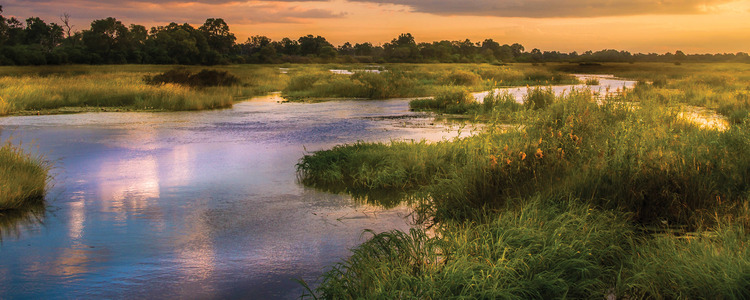 Splendors of South Africa & Victoria Falls with Botswana