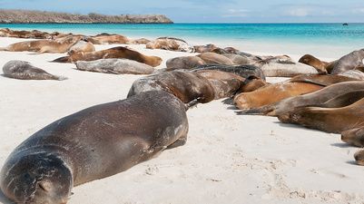 From the Inca Empire to the Peruvian Amazon with Galápagos Cruise