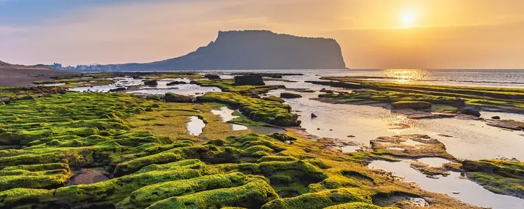 Discover South Korea with Jeju