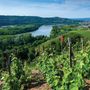 View The Rhone Allure Image Gallery Vineyard