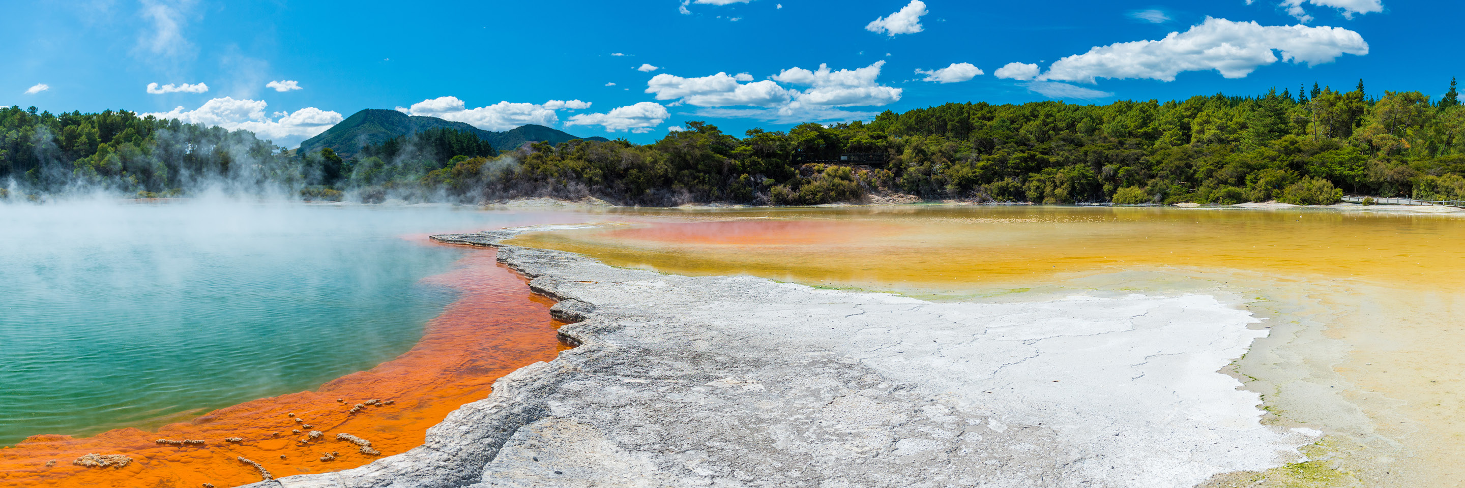 Treasures of New Zealand: Heritage, Vines, & Vistas