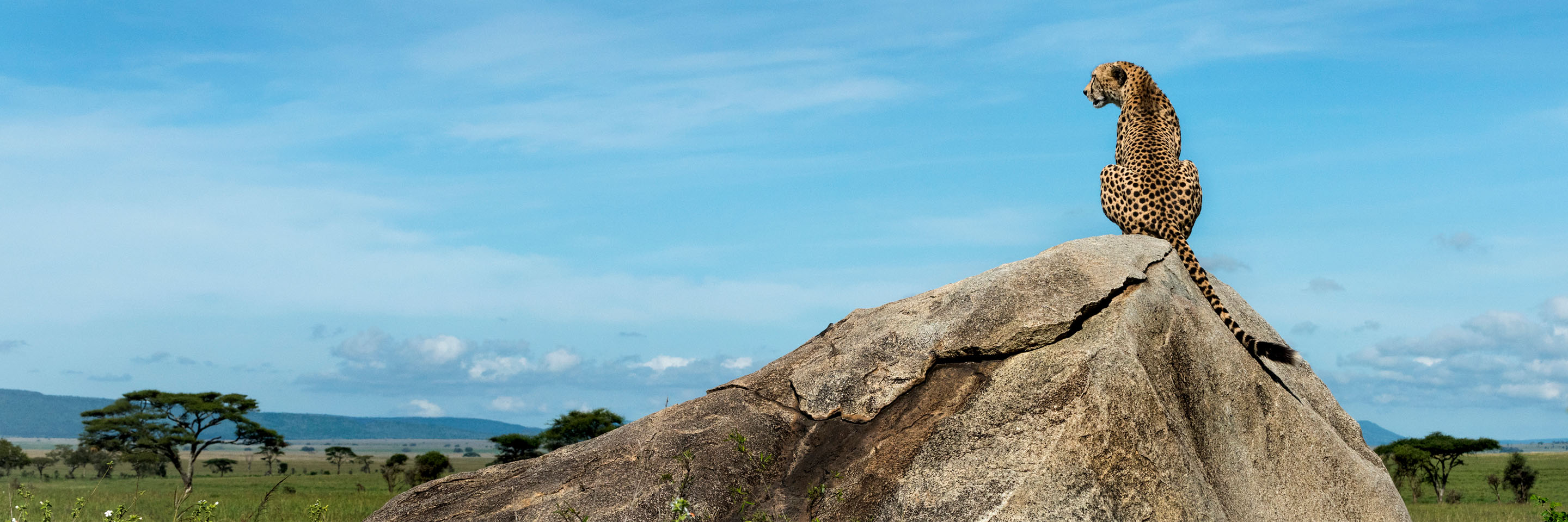 African Safari Tours Globus Africa Tour