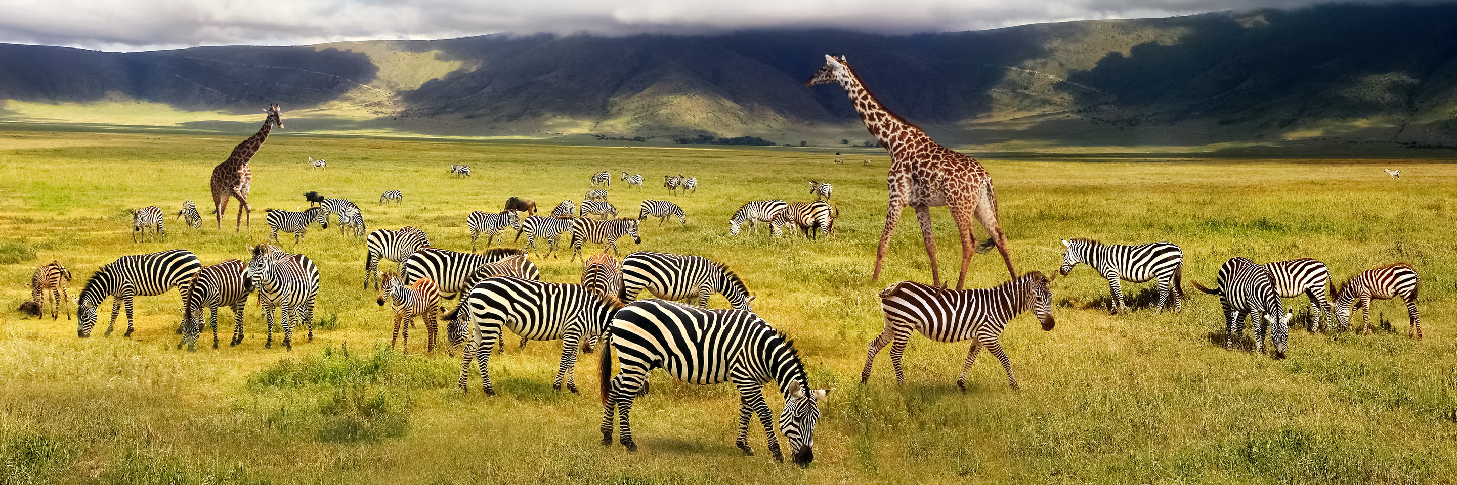 Tanzania Safaris: Explore Maasai Mara National Reserve