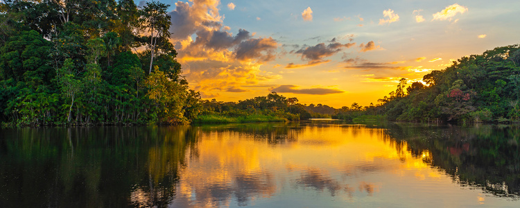 Ecuador & Its Galápagos
  Islands with the Amazon