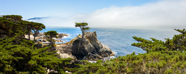 Northern California's Finest