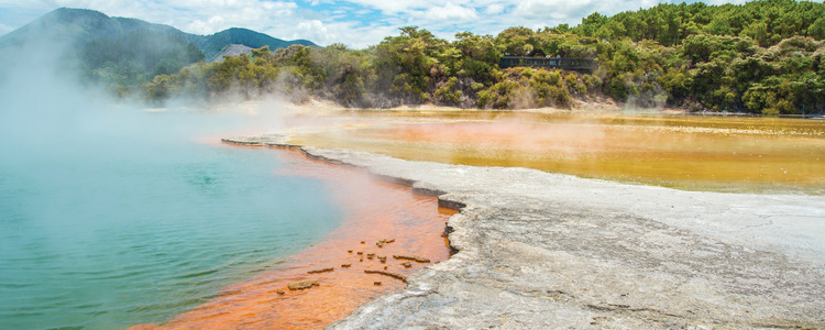 Best of New Zealand