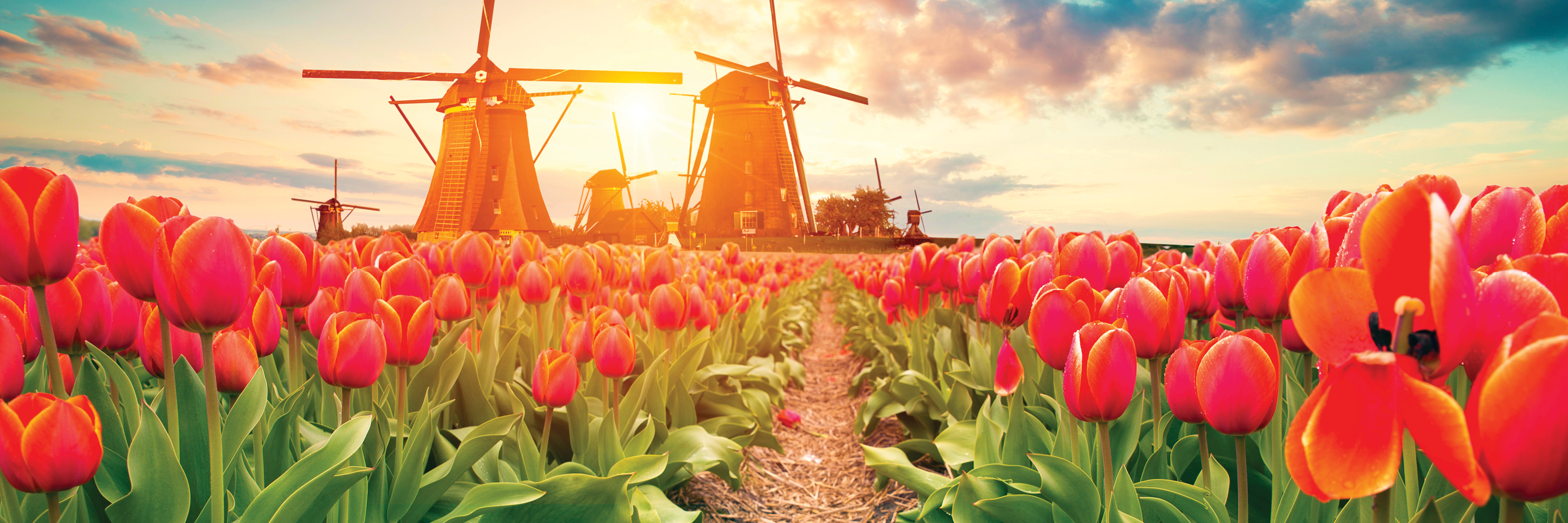 Guided Tours Globus Europe Tours