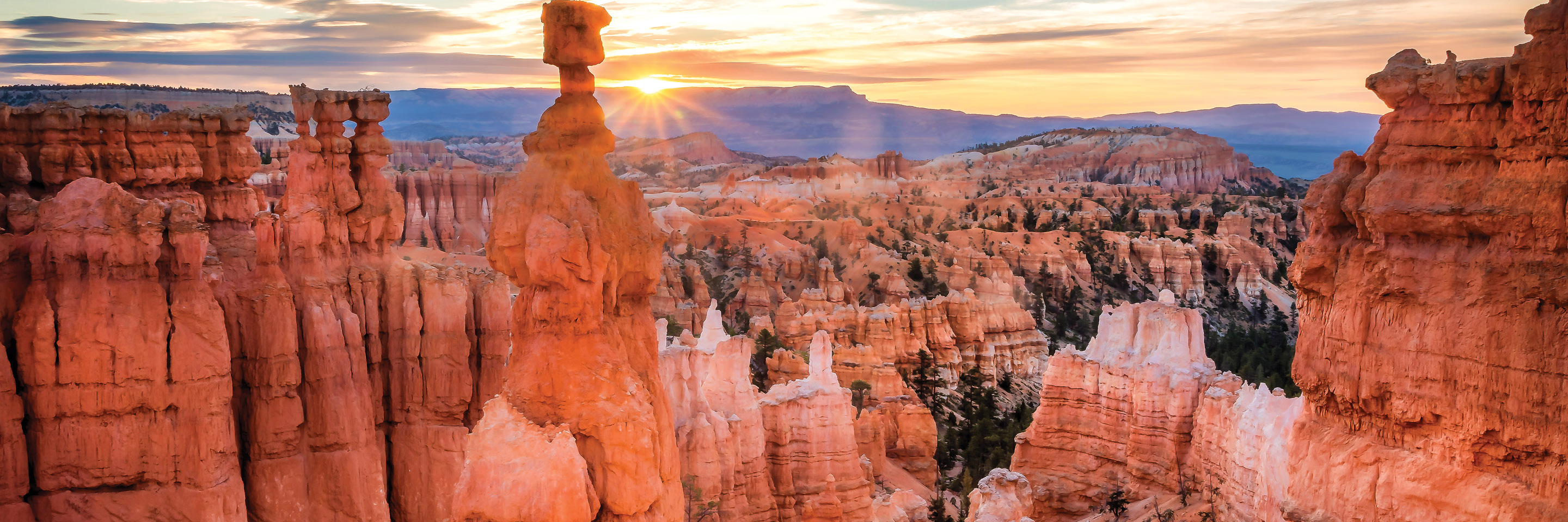 Canyonlands Tour - Globus® National Parks Tours