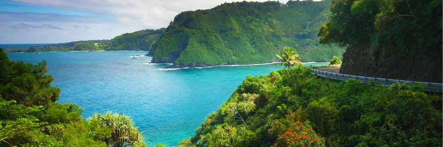Explore Hawaii with Cosmos