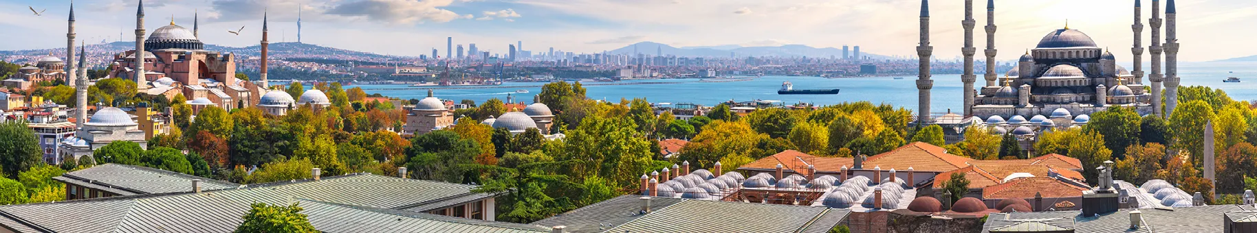 Turkey_listings_header.jpg