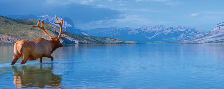 The Canadian Rockies