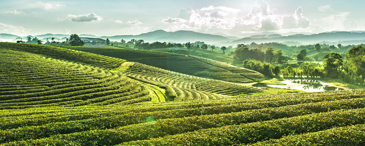 Enchanting Thailand
