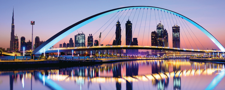 India's Golden Triangle with Dubai