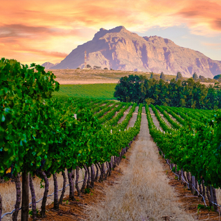 South Africa: From Wine to Wild with Victoria Falls - Main Image