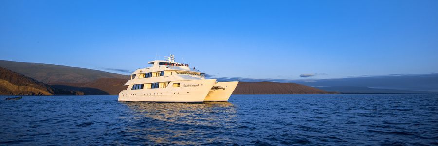 Treasure of Galapagos Cruises