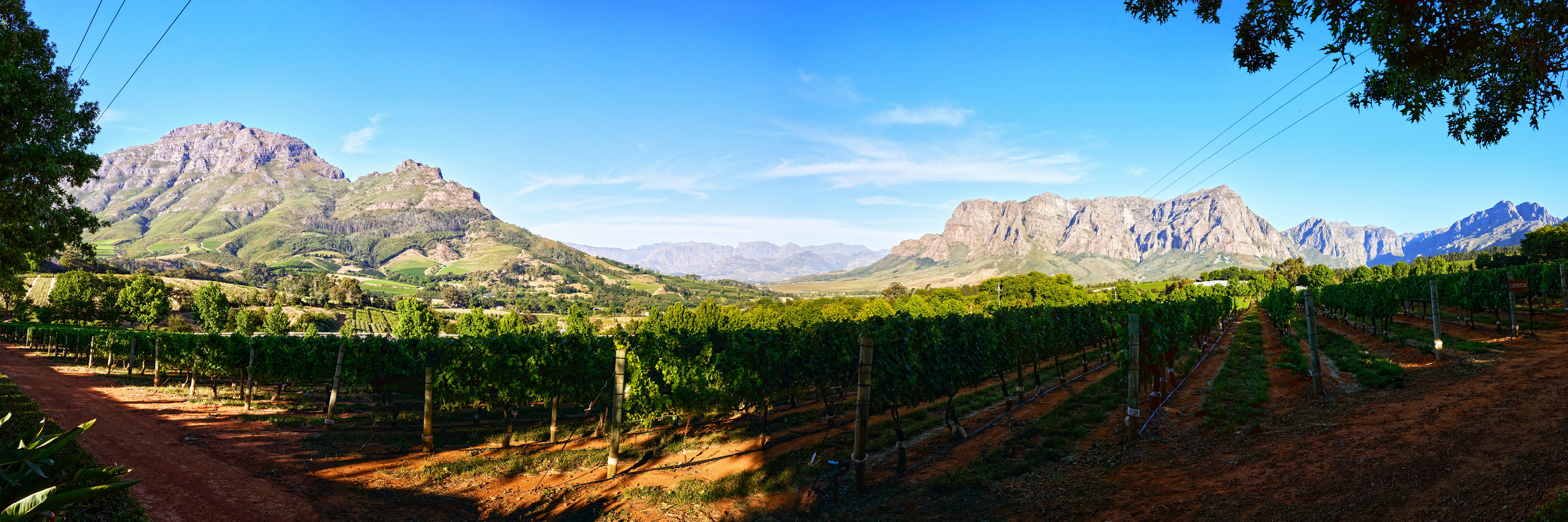 South Africa: From Wine to Wild