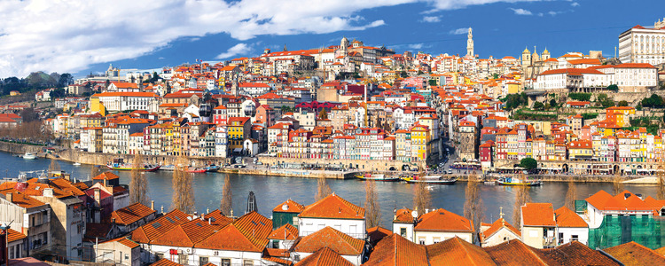Vida Portugal:  Vineyards & Villages Along the Douro