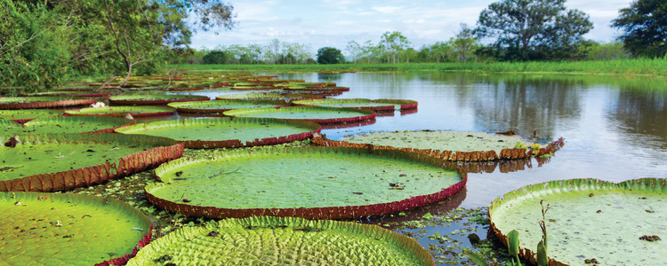 Peru Splendors with Peru's Amazon & Galápagos Cruise