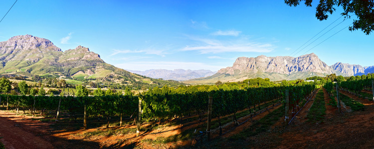 South Africa: From Wine to Wild
