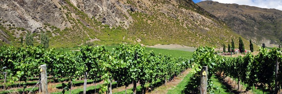 Queenstown Attractions