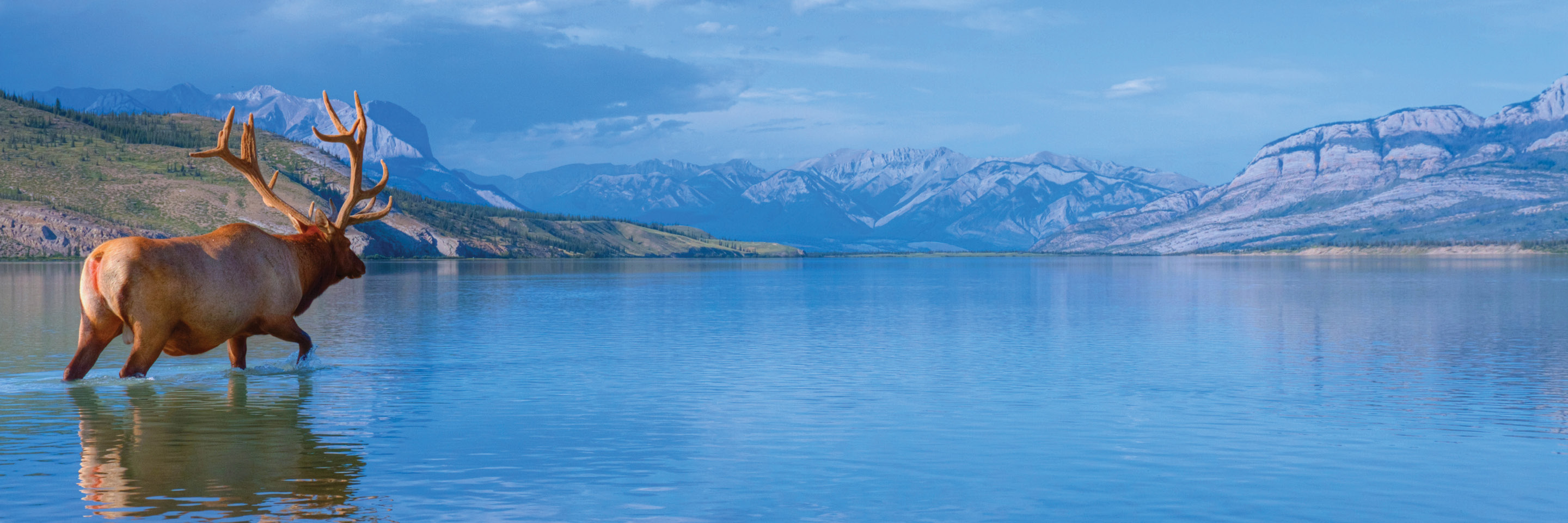 Big Mountain Heating And Air