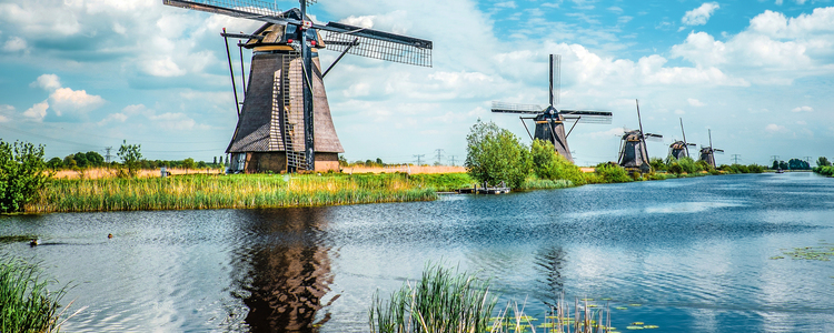 Grand Tulip Cruise of Holland & Belgium for Garden and Nature Lovers