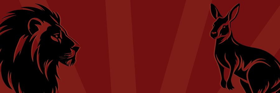 Lions incentive background image
