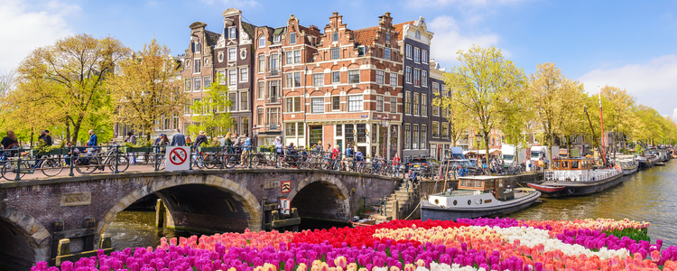 Tulip Time in Holland & Belgium with 1 Night in Amsterdam