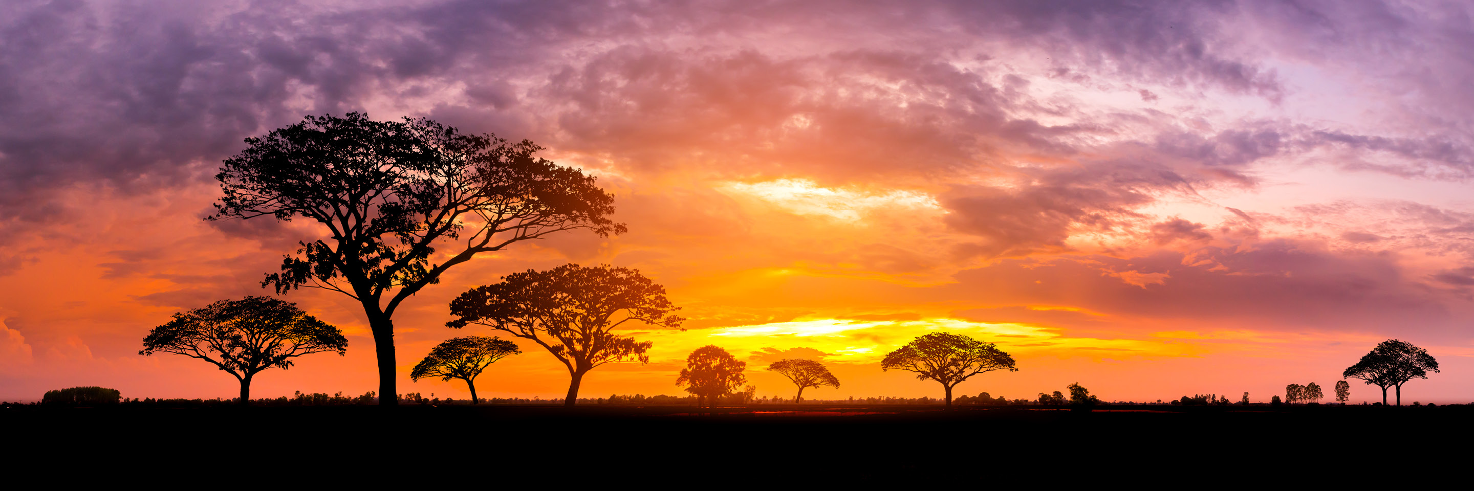 South Africa_listings_header.jpg