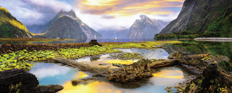 Highlights of the South Pacific