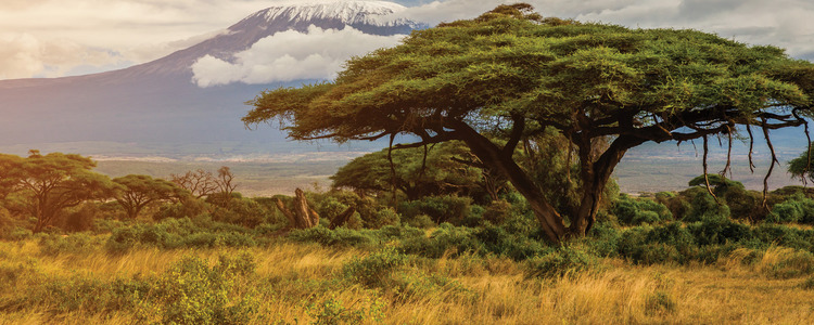 Kenya & Tanzania: The Safari Experience with Nairobi