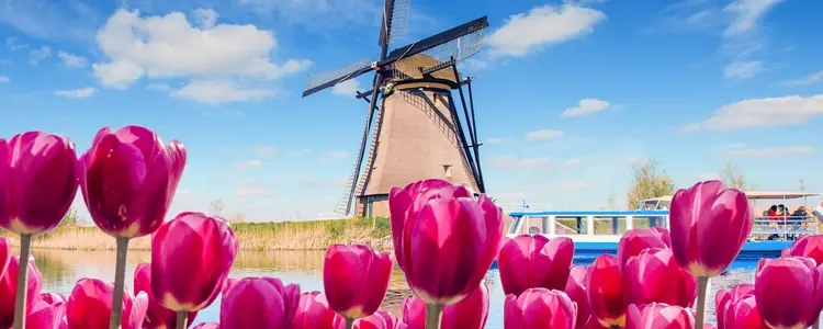Tulip Time and Romantic Rhine