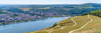 The Rhine & Moselle with 2 Nights in Lucerne for
  Photography Enthusiasts (Southbound)
