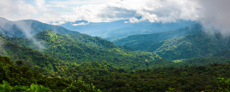 Costa Rica Adventure