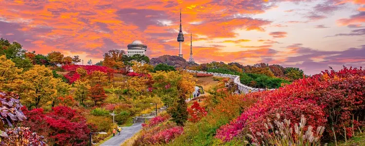 Visions of Japan with Seoul