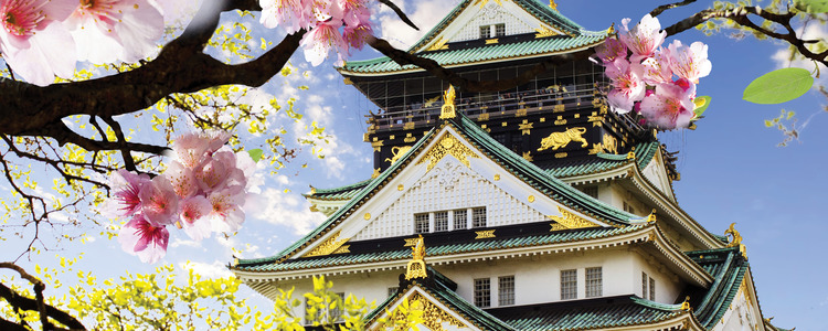 Visions of Japan with Osaka