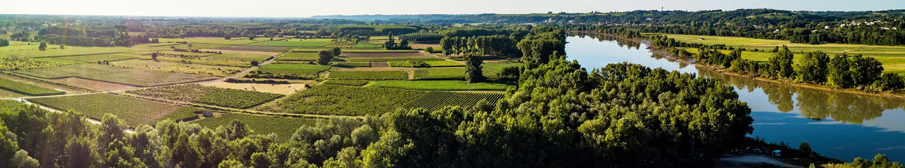 Garonne_Listings_Page.jpg