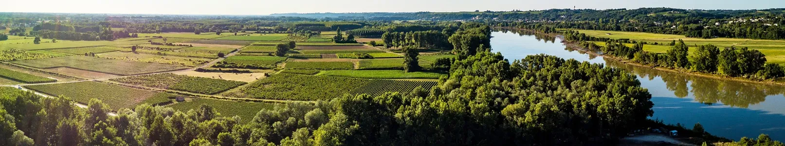 Garonne_Listings_Page.jpg