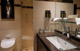 SUITE SHIP Panorama Suite Bathroom