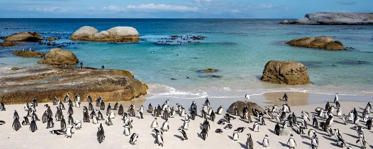 Namibia: Land of Contrasts with Johannesburg, Victoria Falls & Cape Town