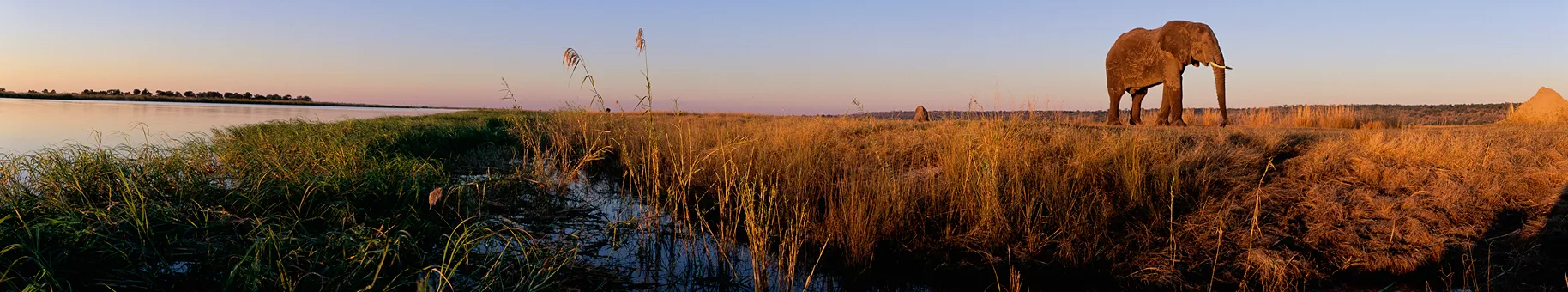 Botswana_listings_header.jpg