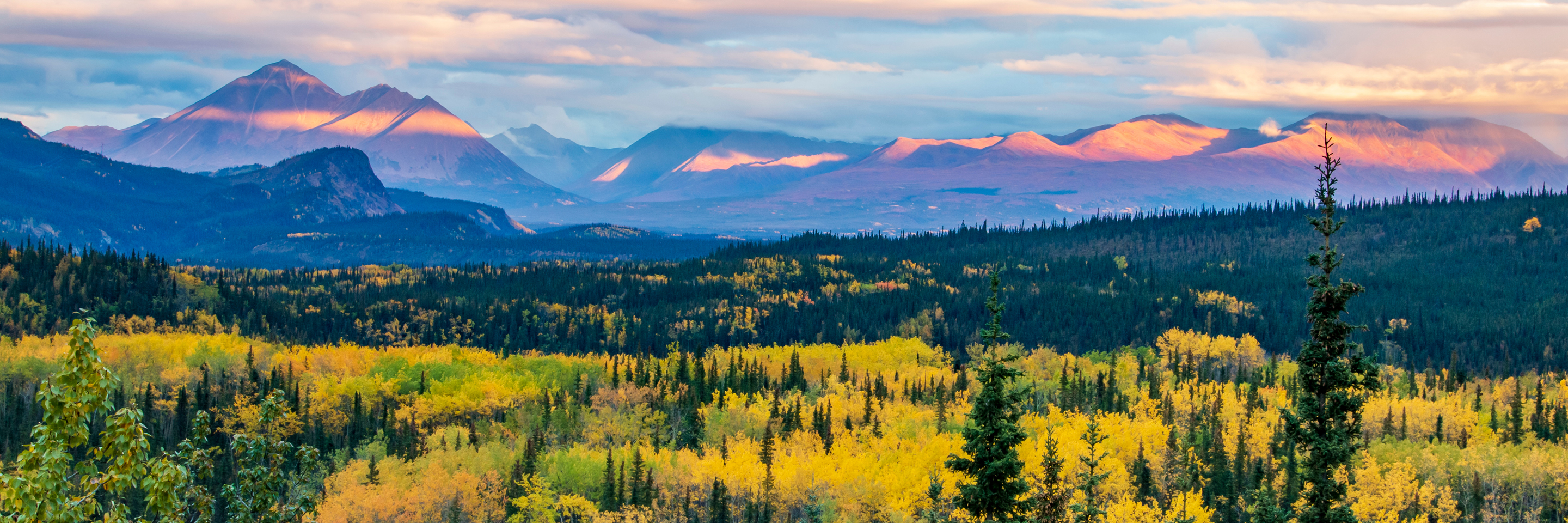 Alaska and the Yukon by Land & by Sea with the Canadian Rockies 