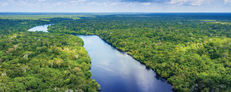 South American Odyssey with Amazon & Peru