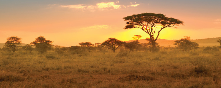 Tanzania Private Safari