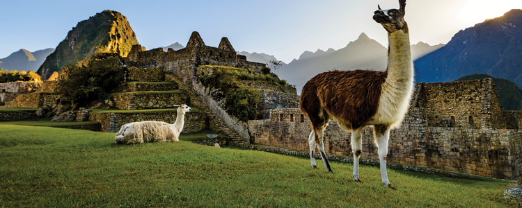 Ultimate South America