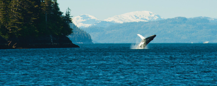 Spectacular Alaska! with Alaska Cruise